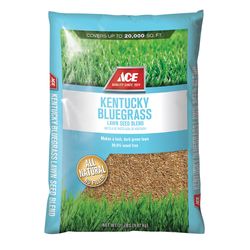 Ace Kentucky Bluegrass Full Sun Grass Seed 20 lb