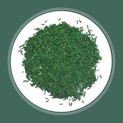 Pennington Kentucky 31 Tall Fescue Grass Sun or Shade Grass Seed 40 lb