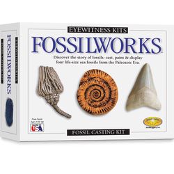 SD Toyz Eyewitness Kits Fossilworks Multicolored