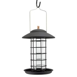 Woodlink Modern Farmhouse 1.5 lb Glass/Metal Tube Bird Feeder