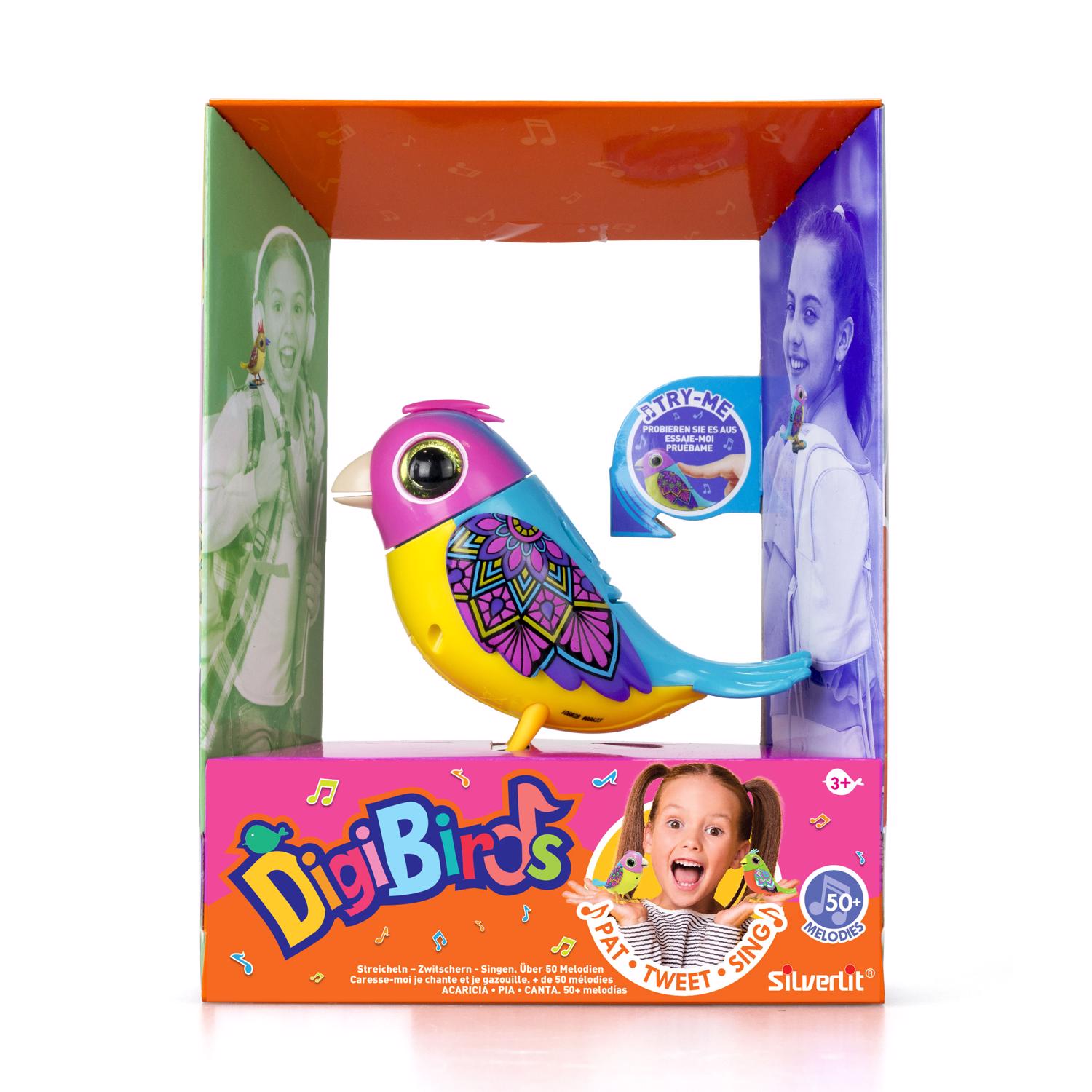 image-6