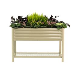 Vego Garden 32 in. H X 42 in. W X 18 in. D Metal Elevated Garden Bed Kit Cream White