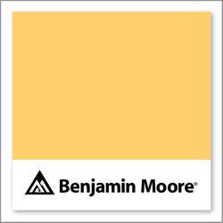 Benjamin Moore Nacho Cheese 2018-40