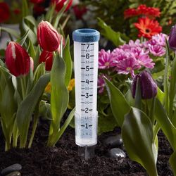 Taylor Rain Gauge Stake 2.35 in. W X 2 in. L