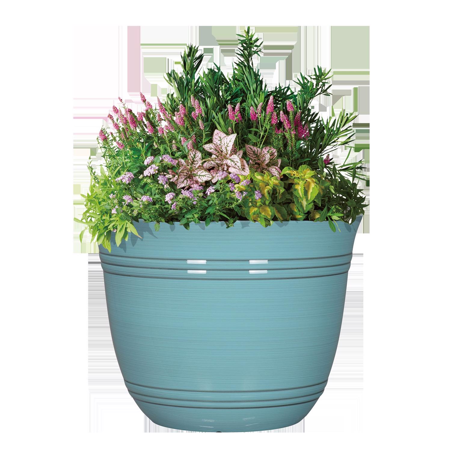image-2