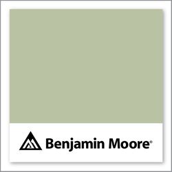 Benjamin Moore Lilly Pad 480