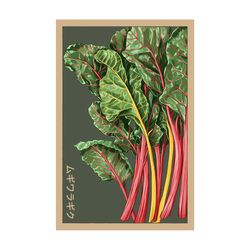 Chive Shido Seed Co. Rainbow Chard Seeds 1 pk