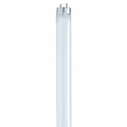 Satco 17 W T8 1 in. D X 23.78 in. L Fluorescent Bulb Cool White Linear 4100 K 1 pk