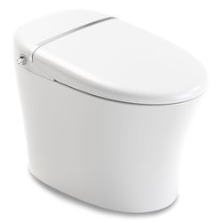 Anzzi Envo Aura ADA Compliant 1.28 gal White Elongated Complete Toilet