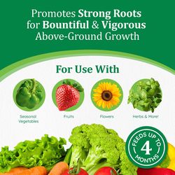 Osmocote Smart-Release Flower & Vegetable Granules Plant Food 1 lb