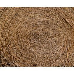 Retailer Sourced Pinestraw Roll