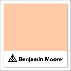 Benjamin Moore Summer Peach Tree 088