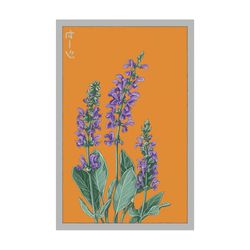 Chive Shido Seed Co. Sage Seeds 1 pk