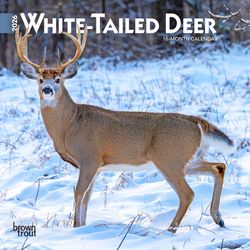 BrownTrout Publishers 2026 Mini .10 in. H X 7 in. L Multicolored Paper White Tailed Deer Calendar