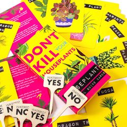 Scobie Boxer Gift Don't Kill Your Houseplants Cards 52 pk