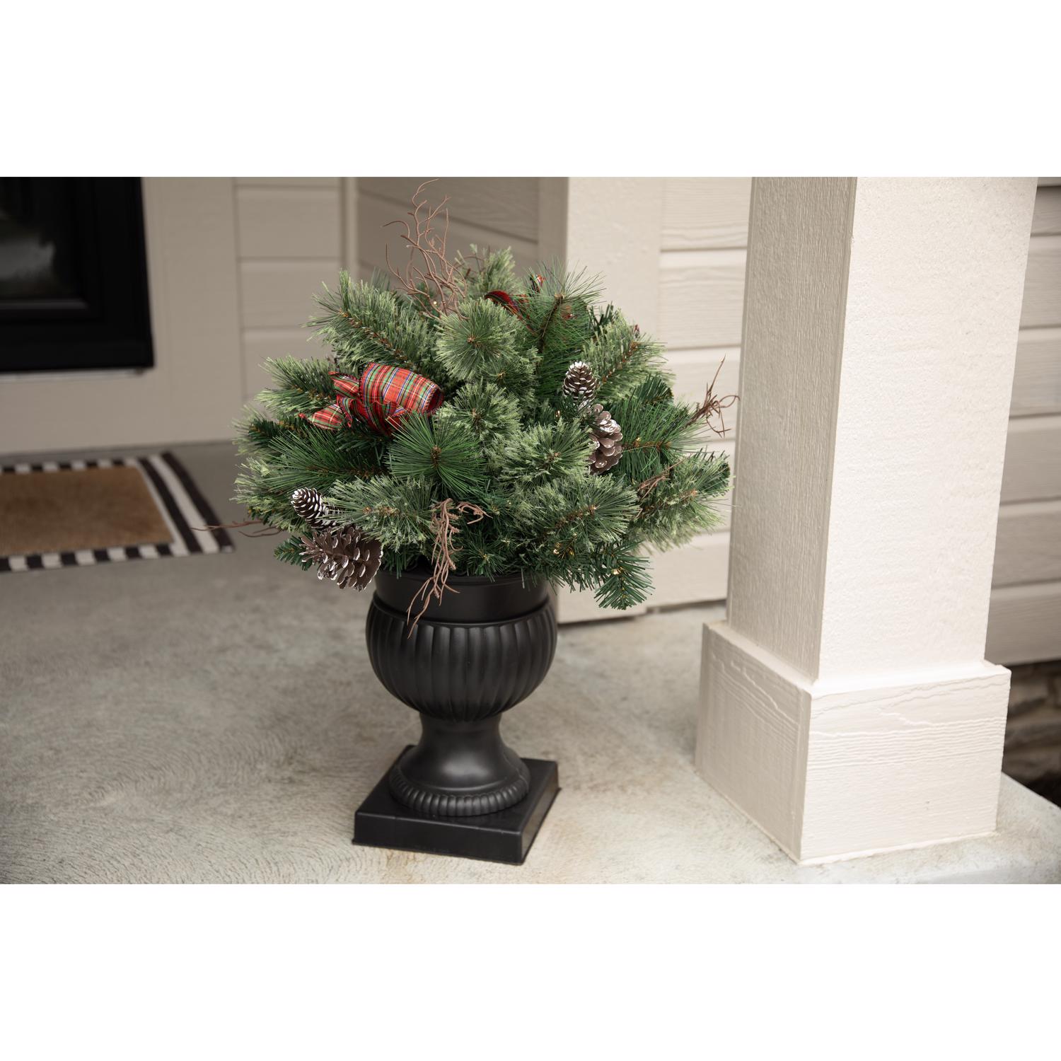 image-6