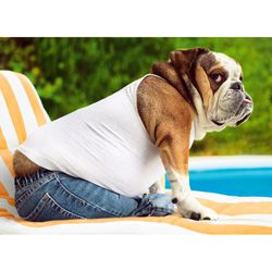 Avanti Seasonal Bulldog Tank Top Father's Day Card Paper 2 pc