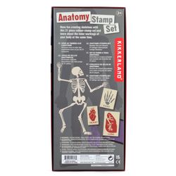 Kikkerland Anatomy Stamp Set Multicolored 21 pc