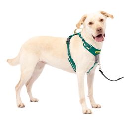 PetSafe Easy Walk Green Fabric Dog Harness Large