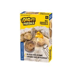 Thames & Kosmos Real Fossils Excavation Kit Assorted 4 pc
