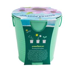 Buzzy Kids Flower Coneflower Grow Kit 1 pk