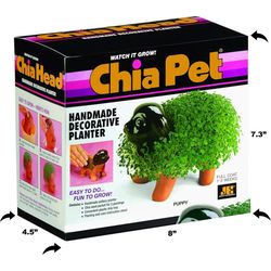 Chia Pet Puppy Decorative Planter Clay 1 pk