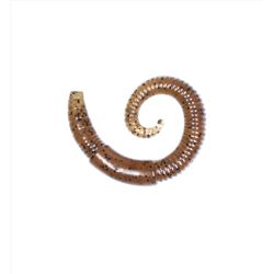 Lunkerhunt Fishing Lure 0.25 in.