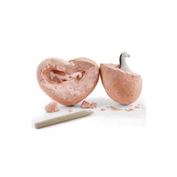 Thames & Kosmos I Dig It Digging kit 2 pc