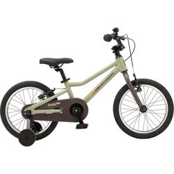 Retrospec Koda Plus Kid's Balance Bicycle Iguana