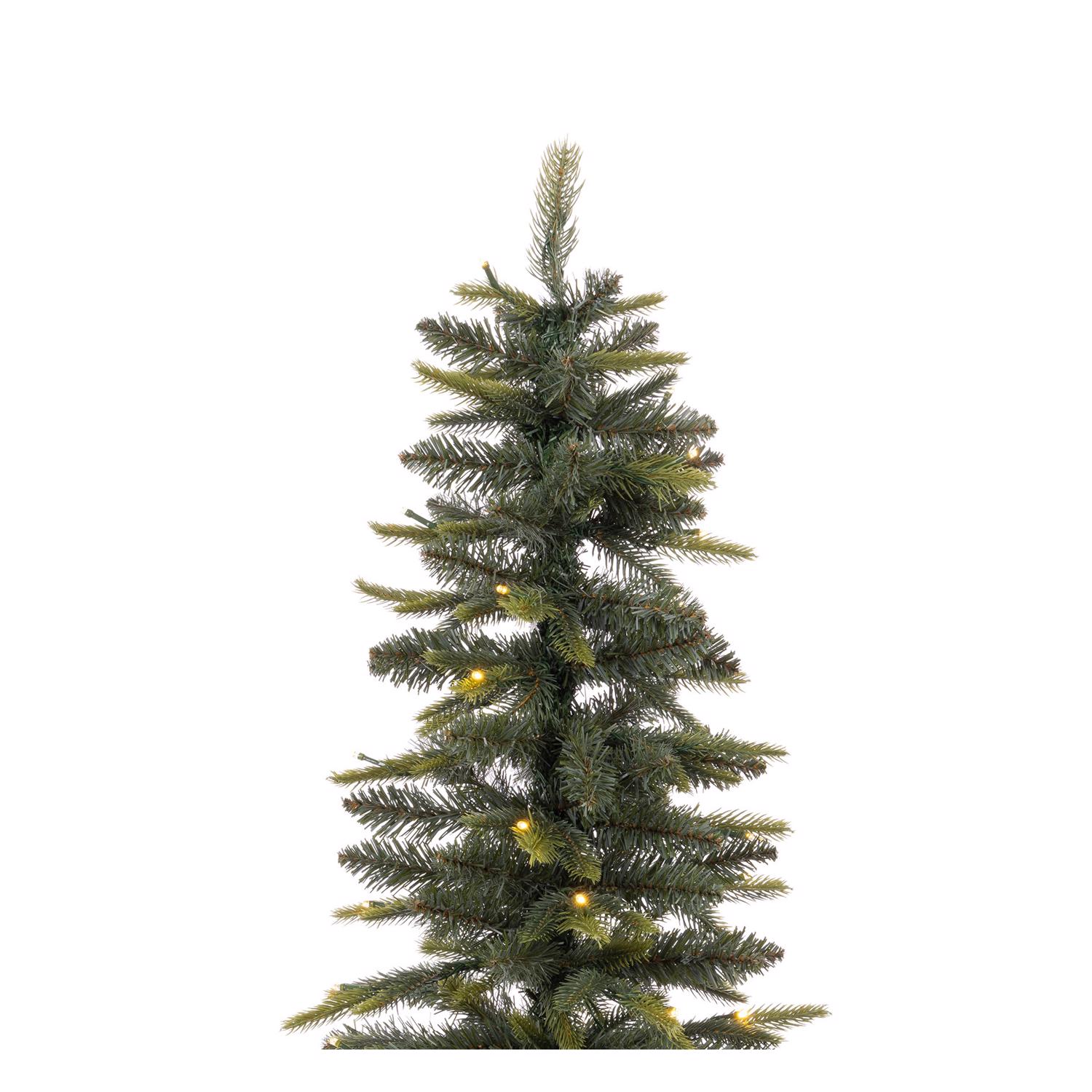 image-2
