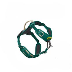 PetSafe Easy Walk Green Fabric Dog Harness Medium/Large