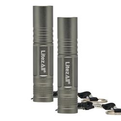 LitezAll Silver LED Keychain Light