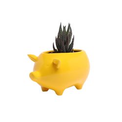 Chive Animal Planter 3.5 in. D Ceramic Pig Cachepot Yellow