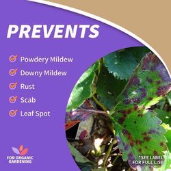 Bonide Captain Jack Fungicide/Insecticide/Miticide/Nematicide Liquid 1 gal