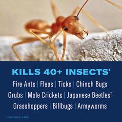 BioAdvanced 24 Hour Lawn Insect and Fire Ant Killer Granules 10 lb