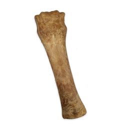 Nylabone Nubz Edibles Beef Chews For Dogs 6.7 oz 1 pk
