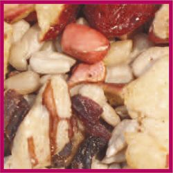 Cole's Nutberry Suet Blend Wild Bird Food 20 lb