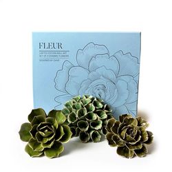 Chive Ceramic Flowers 2.9 in. H X 9.9 in. L Glazed Green Ceramic Fleur Box Set