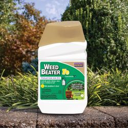 Bonide Weed Beater Weed Killer Concentrate 16 oz