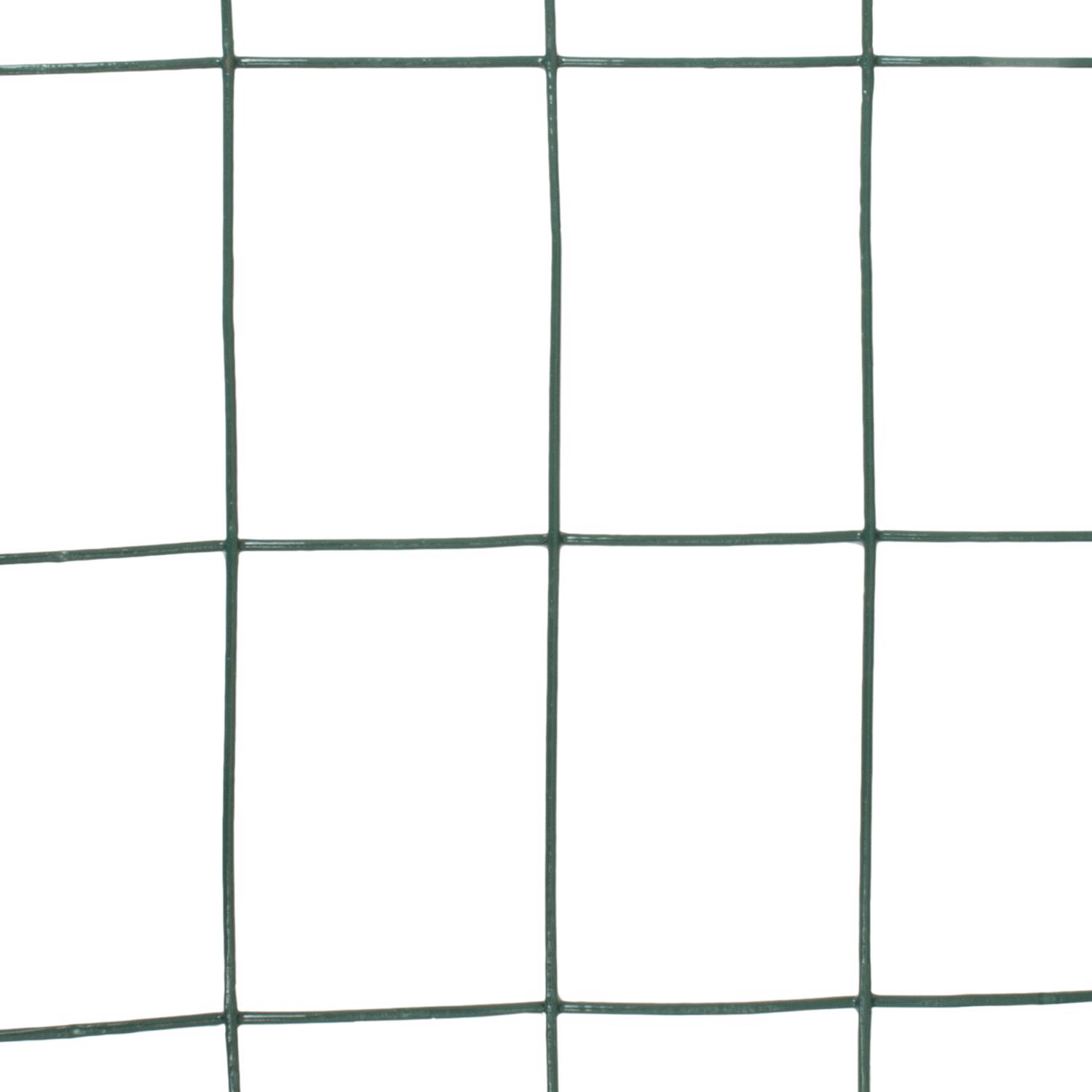 image-3