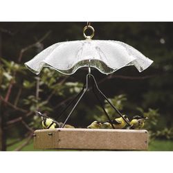 Birds Choice Wild Bird 2 qt Plastic/Screen Platform Tray Bird Feeder