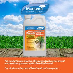 Monterey Weed and Vegetation Killers Concentrate 32 oz
