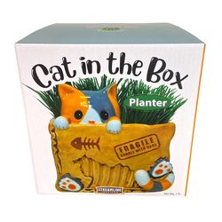 Streamline Ceramic Planter Multicolor