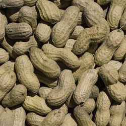 Ace In-Shell Peanuts 5 lb