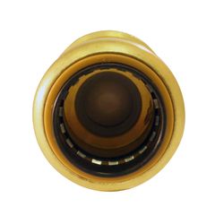 Apollo Tectite 3/4 in. D X 3/4 in. D Brass Backflow Preventer Check Valve