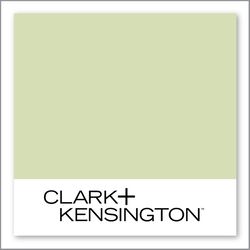Clark+Kensington Pocketful of Green KIDCC-35
