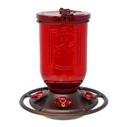 Backyard Essentials Hummingbird 19 oz Glass/Metal Nectar Bird Feeder 5 ports