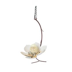 Desert Steel Wild Bird and Finch 2 cups Steel Magnolia Bird Feeder 1 ports