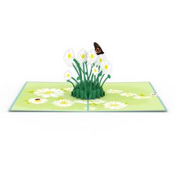 Lovepop Daisy Patch 3D Card Paper 1 pk