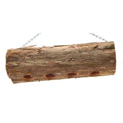 Songbird Essentials Woodpecker Cedar Suet Bird Feeder 4 ports